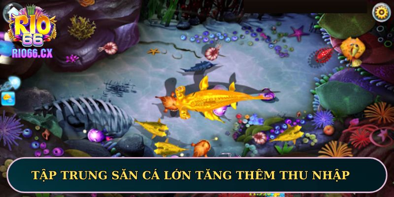 Tập trung săn cá lớn tăng thêm thu nhập